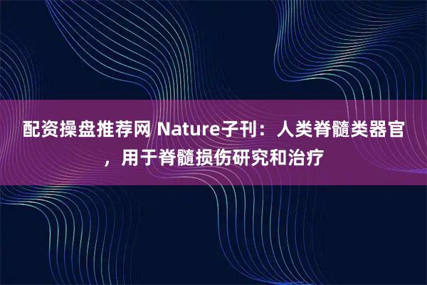 配资操盘推荐网 Nature子刊：人类脊髓类器官，用于脊髓损伤研究和治疗